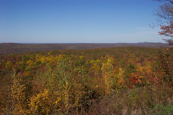 fall 021.jpg